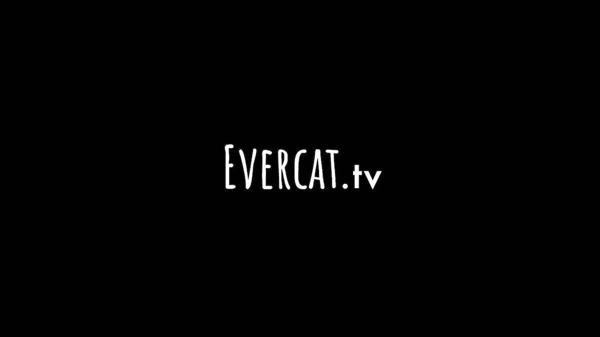 Evercat